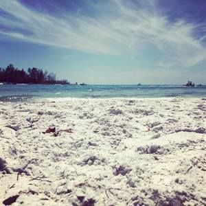 Meet your Posher, Sean